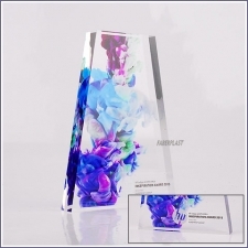 Acrylic Plexiglas Awards Bloc Hp